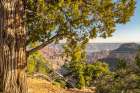 USA-Arizona-Grand Canyon National Park Landscape from North Rim of Bright Angel Point Art Print
